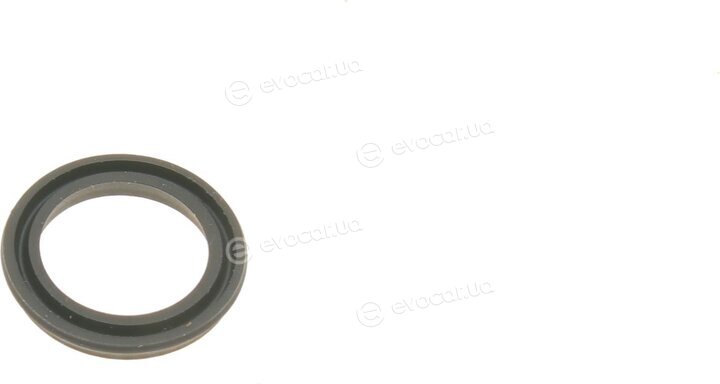 Frenkit 245036