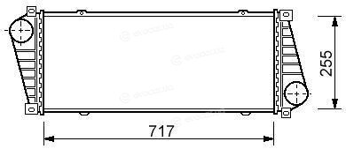 Starline A MSA 4217