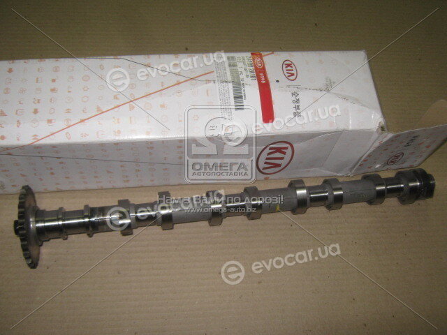 Kia / Hyundai 241002A101