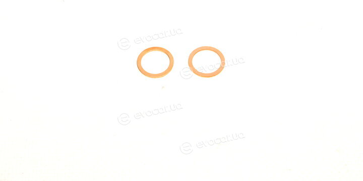 Elring 302.310