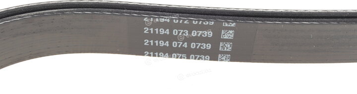 Dayco 6PK1610HD