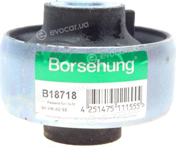 Borsehung B18718