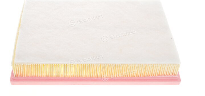 Solgy 103049