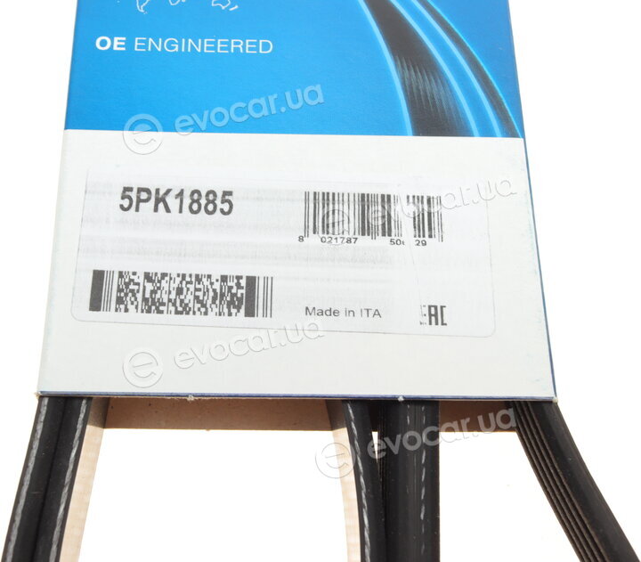 Dayco 5PK1885