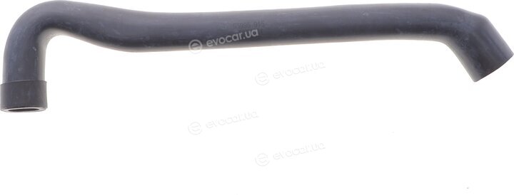 AIC 55995