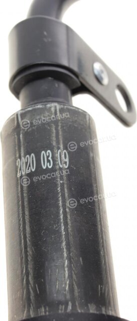 AIC 58281