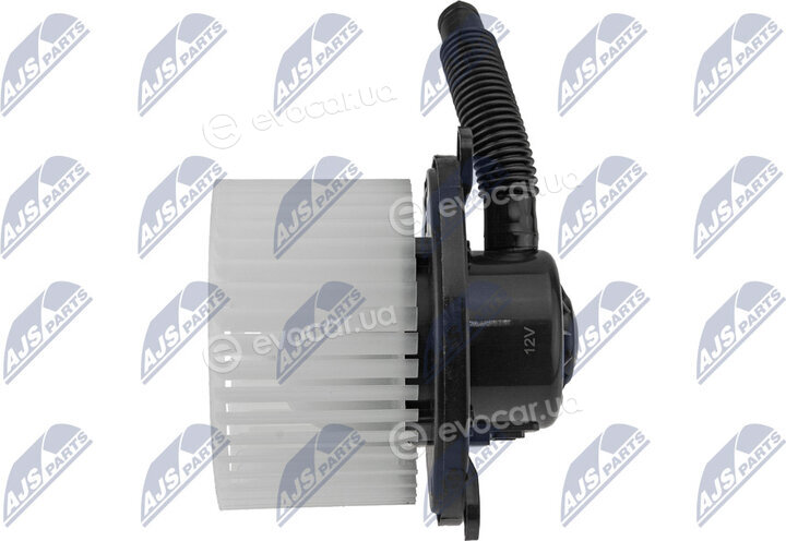 NTY EWN-MS-004