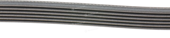Continental 6PK2264