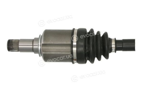Pascal G2M029PC