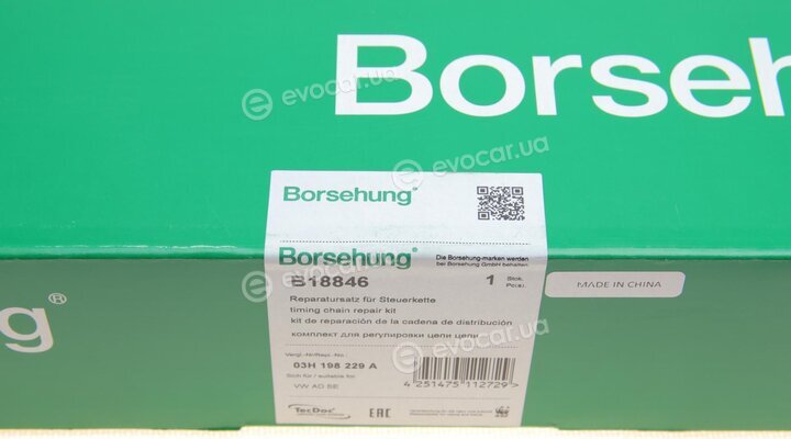 Borsehung B18846