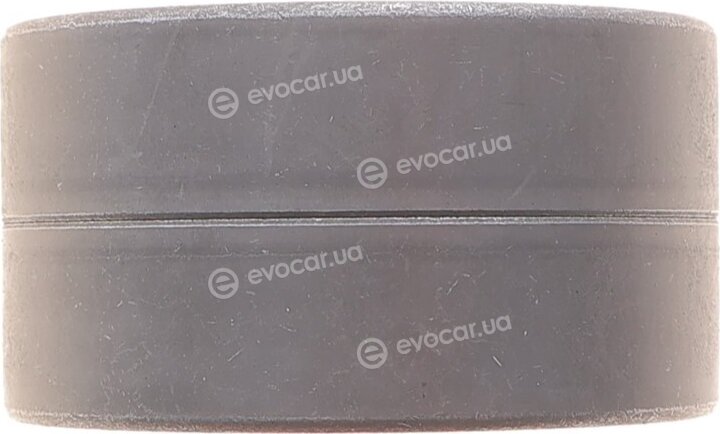 Dayco KTBWP12400