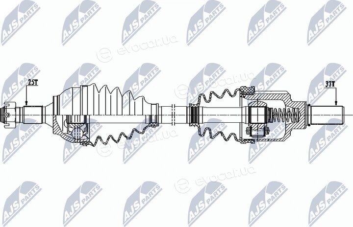 NTY NPW-CT-077