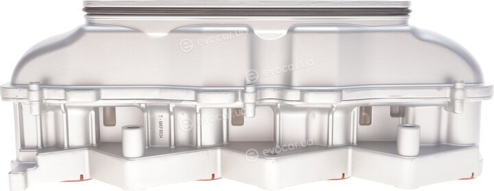 Solgy 114272