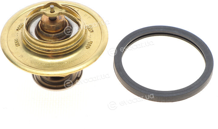 Mahle TX 93 79D