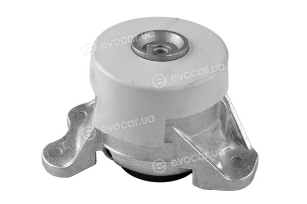 Tedgum TED46809