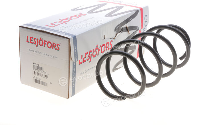 Lesjofors 4072953