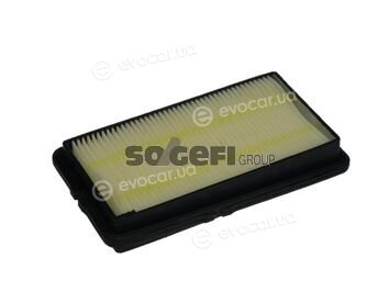 Coopers Fiaam PA7212