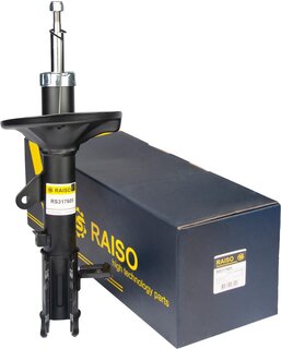 Raiso RS317605
