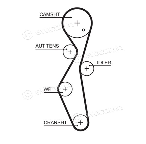 Gates K015672XS