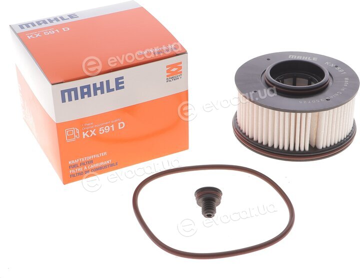 Mahle KX 591D