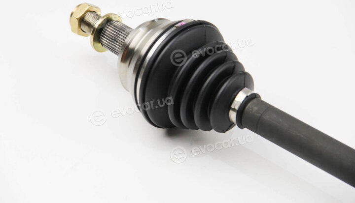 BGA DS9618L
