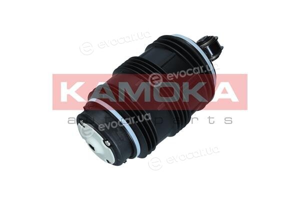 Kamoka 2079053