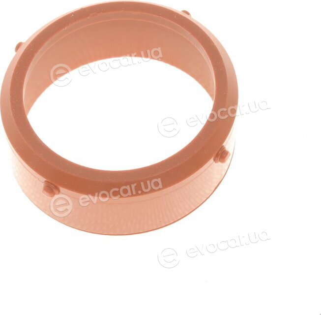 Solgy 113003