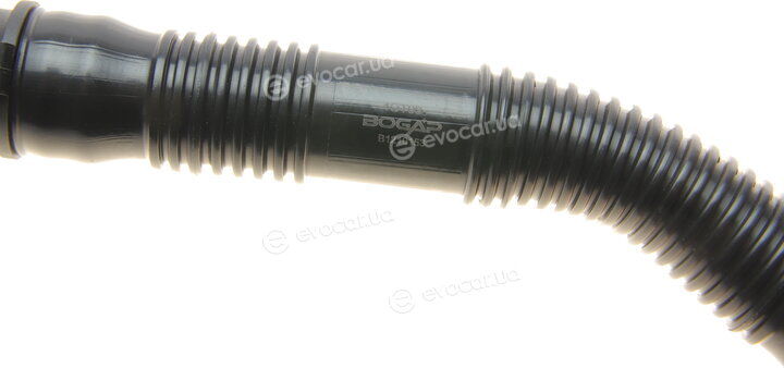 Bogap B1210153