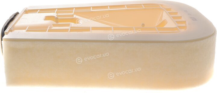 Solgy 103194