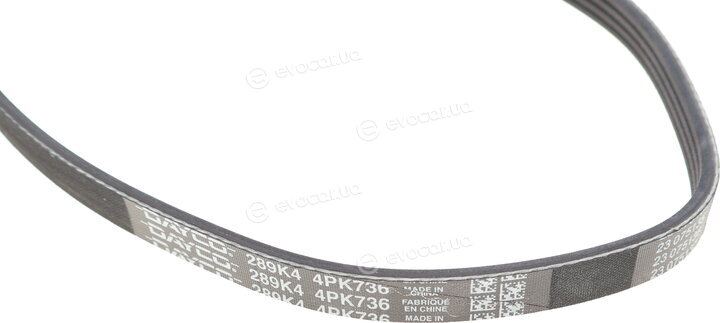 Dayco 4PK736