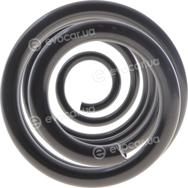 Lesjofors 4256928