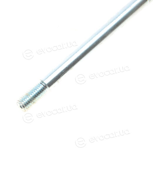 Solgy 119048