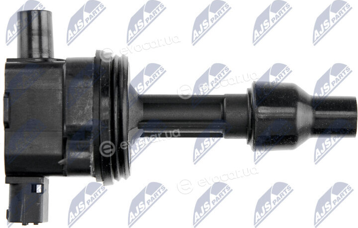 NTY ECZ-VV-002