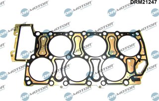 Dr. Motor DRM21247