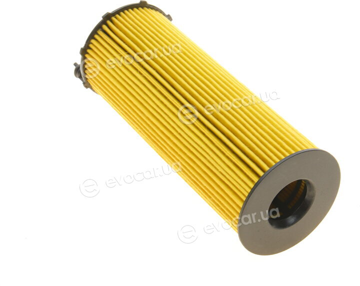 Borsehung B10547