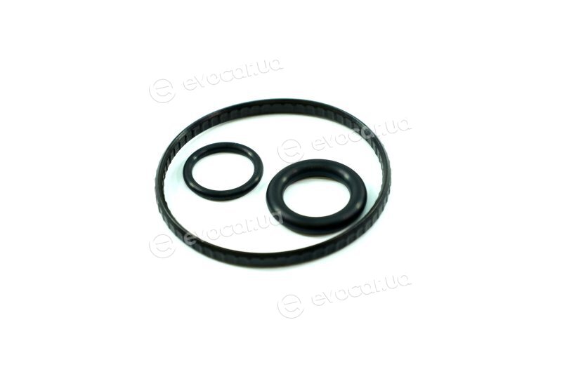 Elring 387.560