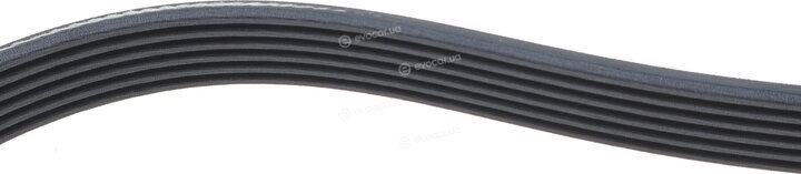 Dayco 6PK966