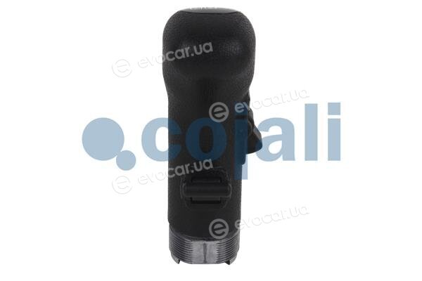Cojali 2880141