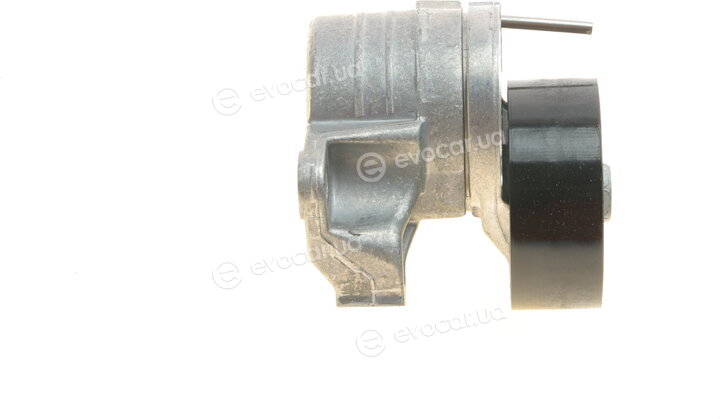 Dayco APV3800