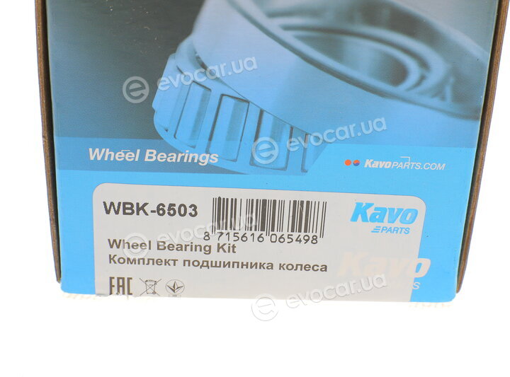 Kavo WBK-6503