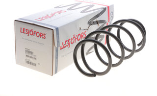 Lesjofors 4072953
