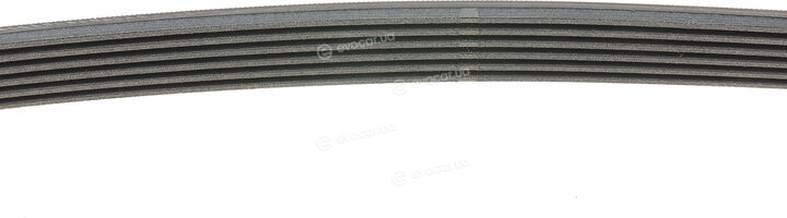 Continental 6PK976