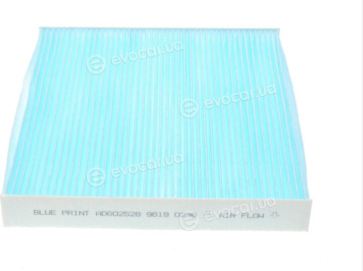 Blue Print ADG02528