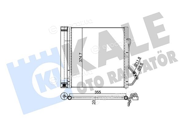 Kale 352620