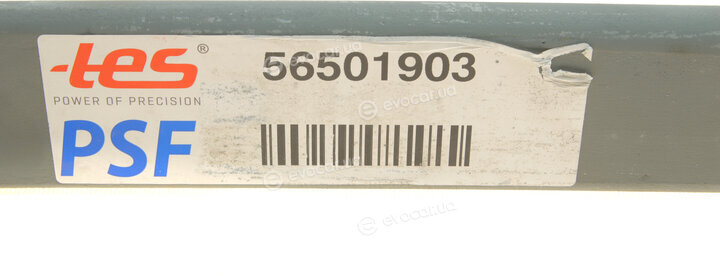 TES 5650190319