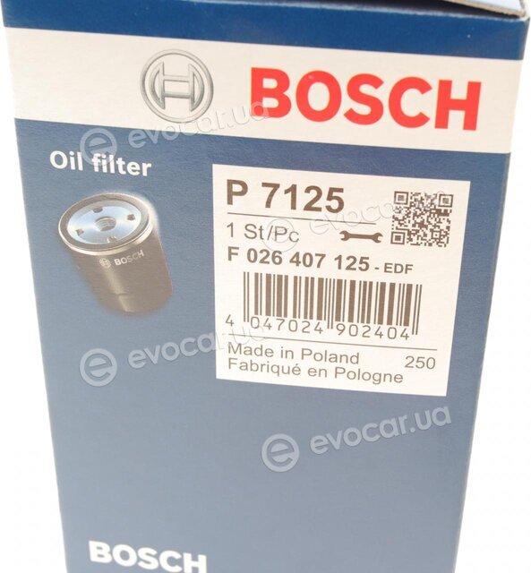 Bosch F 026 407 125