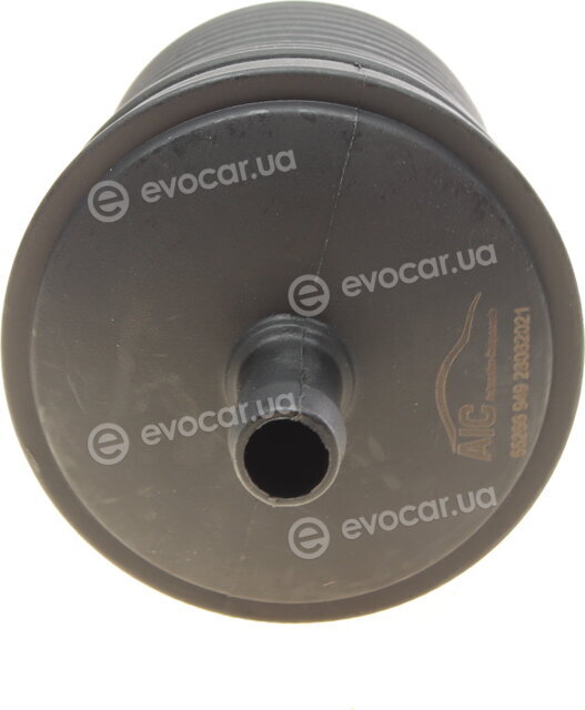 AIC 55266