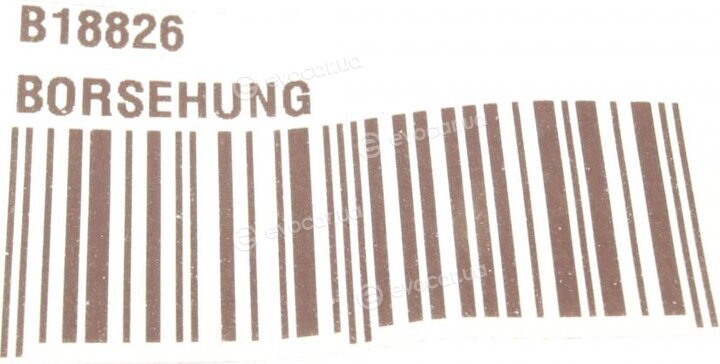 Borsehung B18826