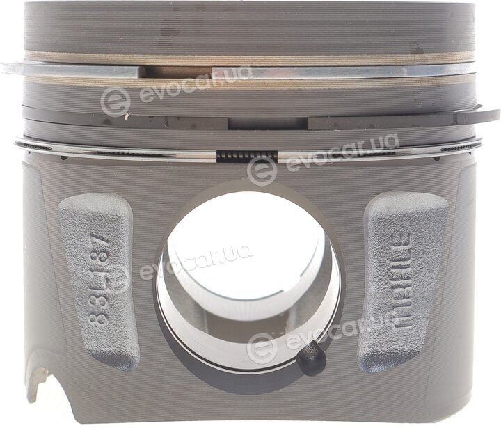 Mahle 001 PI 00107 000