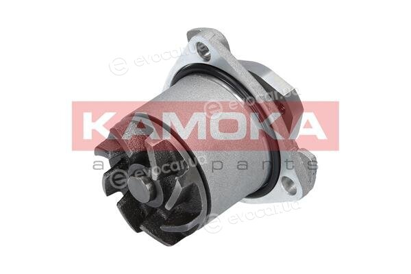 Kamoka T0138